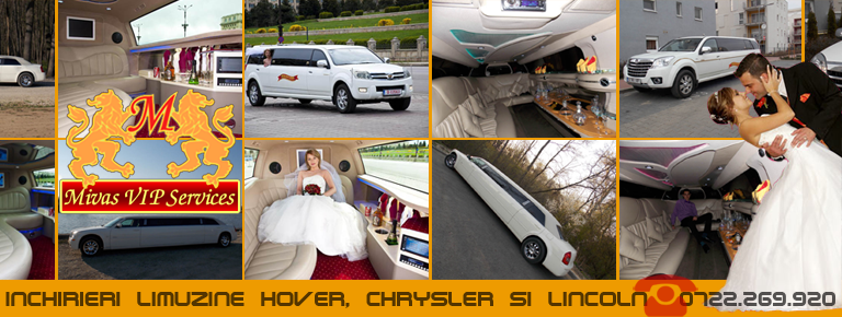Mivas VIP Services